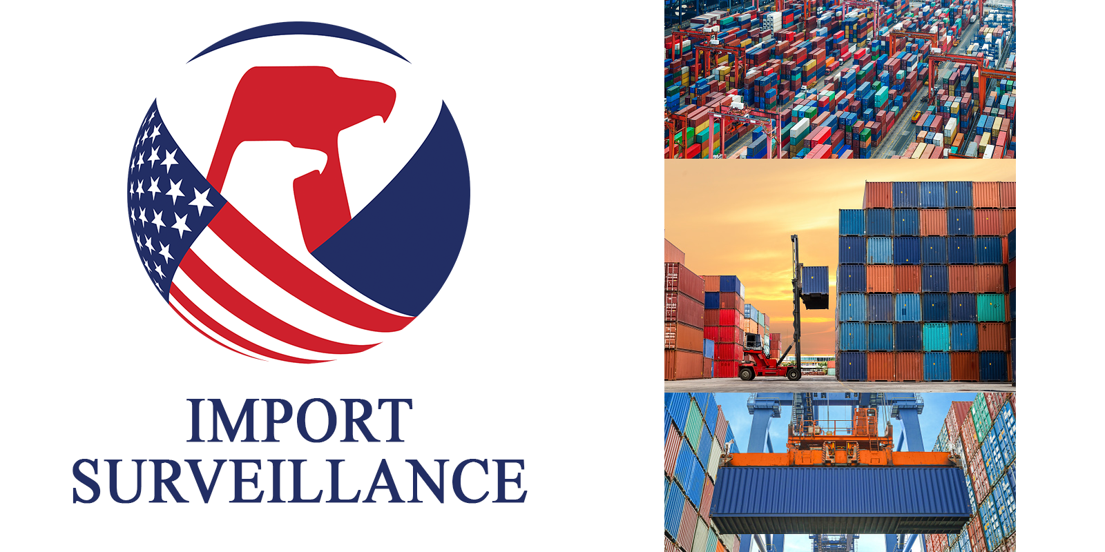 Import Surveillance | CPSC.gov